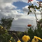 Holiday home Sunflower - Madalena - Pico Sao Caetano (Pico)