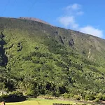 Holiday home Sunflower - Madalena - Pico Sao Caetano (Pico)
