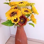 Holiday home Sunflower - Madalena - Pico Sao Caetano (Pico)