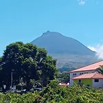 Sunflower - Madalena - Pico *