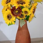 Holiday home Sunflower - Madalena - Pico Sao Caetano (Pico)