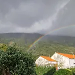 Sunflower - Madalena - Pico Holiday home