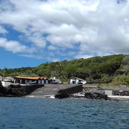 Semesterbostad Sunflower - Madalena - Pico Sao Caetano (Pico)