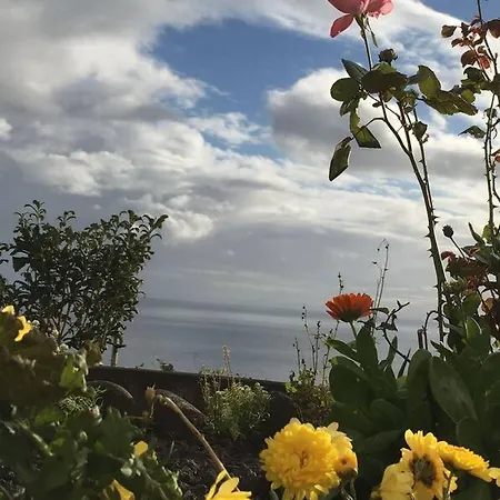 Tatil Evi Sunflower - Madalena - Pico Sao Caetano (Pico)