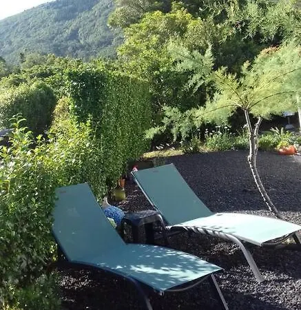 Sunflower - Madalena - Pico Semesterbostad *