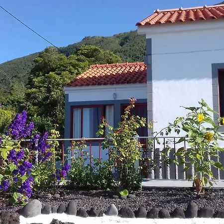 Sunflower - Madalena - Pico Semesterbostad Sao Caetano (Pico)