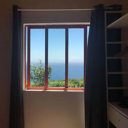 Sunflower - Madalena - Pico * Sao Caetano (Pico)