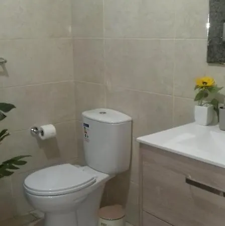 Sunflower - Madalena - Pico *