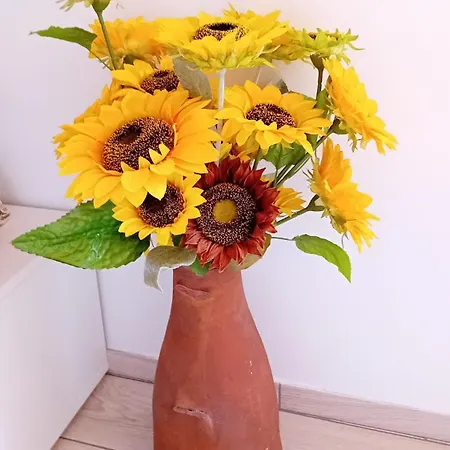 Tatil Evi Sunflower - Madalena - Pico Sao Caetano (Pico)