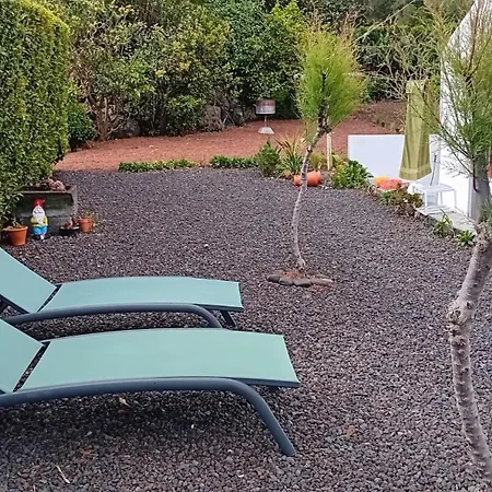 Sunflower - Madalena - Pico Sao Caetano (Pico)