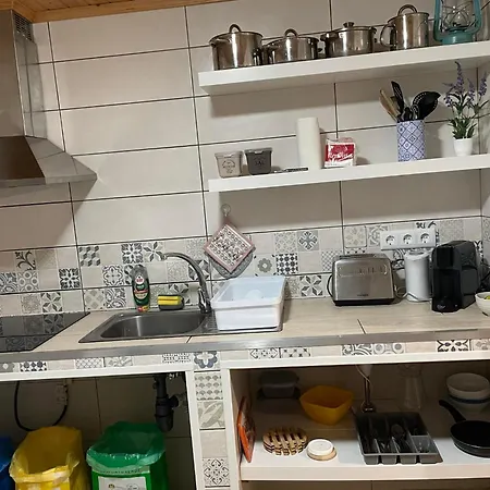 Sunflower - Madalena - Pico * Sao Caetano (Pico)