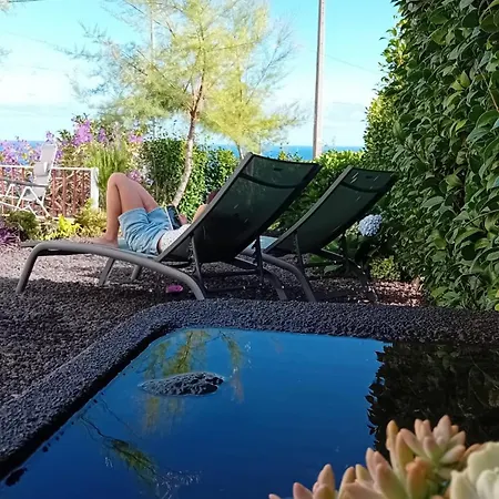 Sunflower - Madalena - Pico