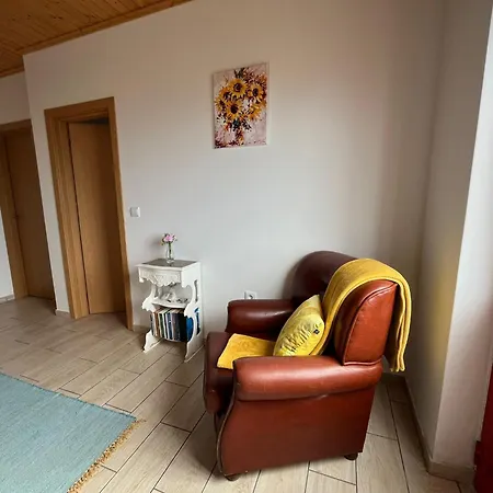 Sunflower - Madalena - Pico Semesterbostad *