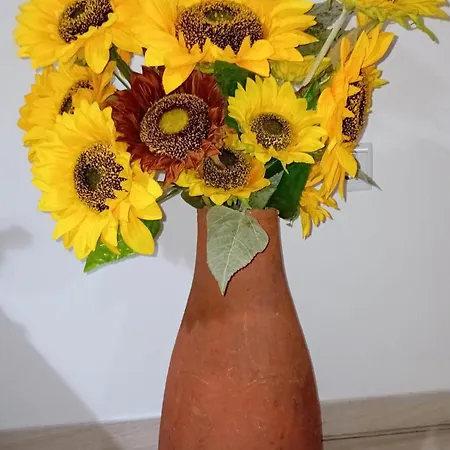 Tatil Evi Sunflower - Madalena - Pico Sao Caetano (Pico)