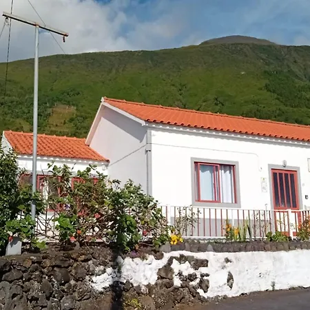 Sunflower - Madalena - Pico Semesterbostad *