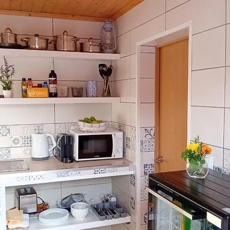 Sunflower - Madalena - Pico * Sao Caetano (Pico)