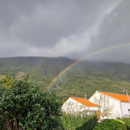 Sunflower - Madalena - Pico Semesterbostad