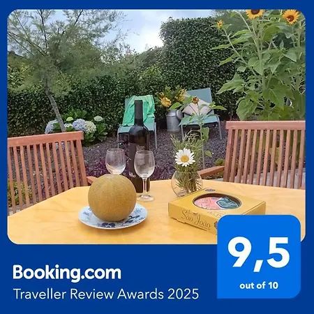 Sunflower - Madalena - Pico