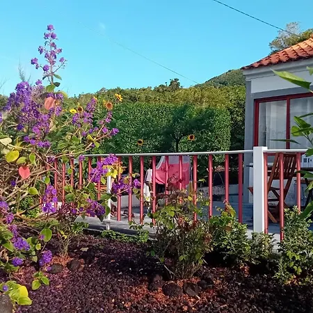 Sunflower - Madalena - Pico Nyaraló *