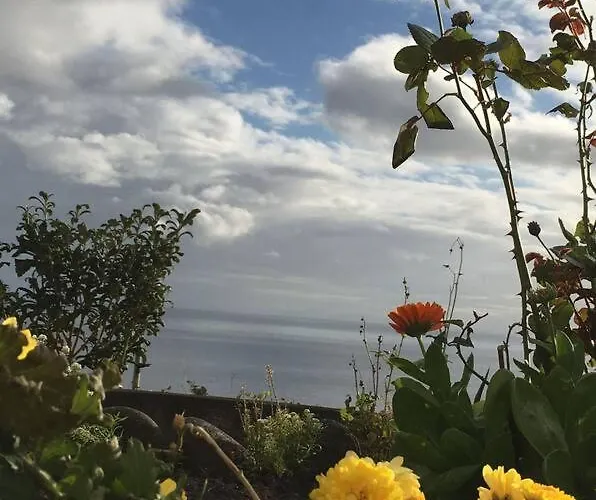 Nyaraló Sunflower - Madalena - Pico Sao Caetano (Pico)