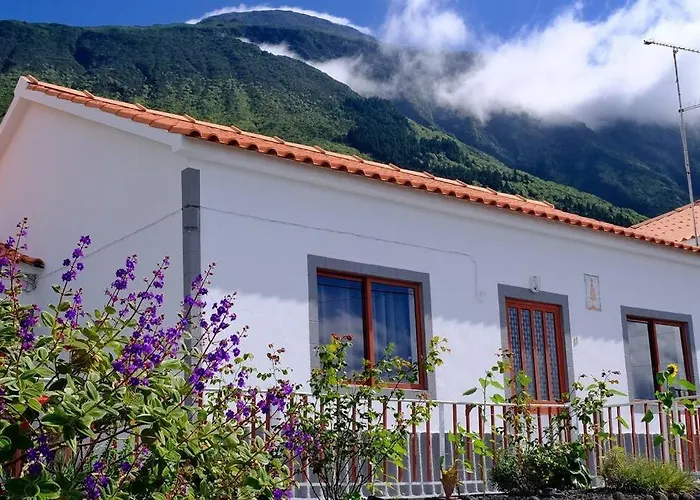 Sunflower - Madalena - Pico