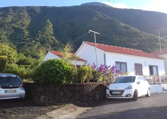 Sunflower - Madalena - Pico Nyaraló Sao Caetano (Pico)