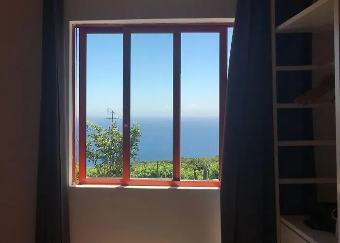 Sunflower - Madalena - Pico * Sao Caetano (Pico)