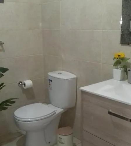 Sunflower - Madalena - Pico *