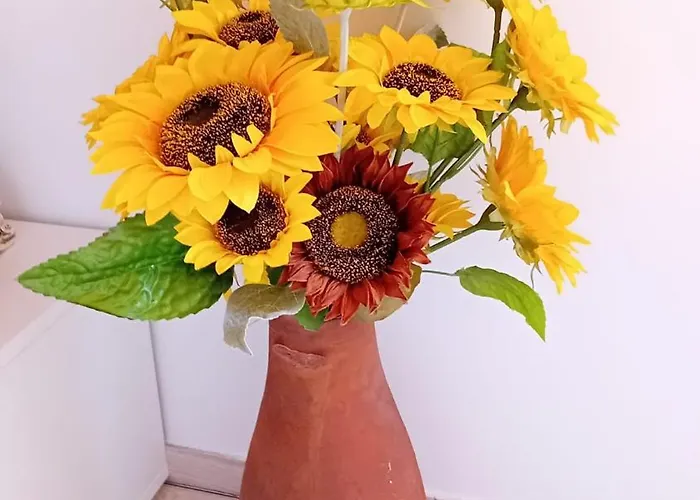 Nyaraló Sunflower - Madalena - Pico Sao Caetano (Pico)