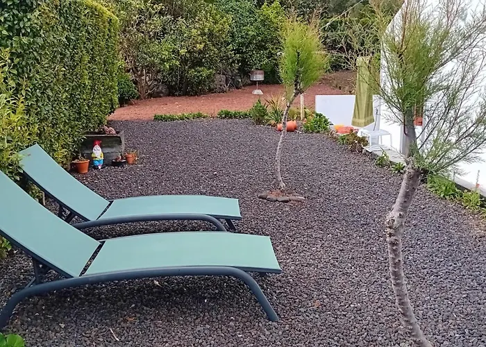 Sunflower - Madalena - Pico Sao Caetano (Pico)