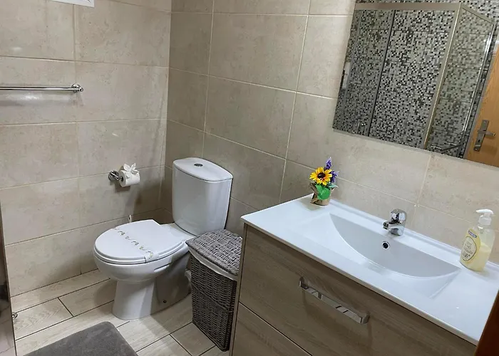 Sunflower - Madalena - Pico Nyaraló Sao Caetano (Pico)