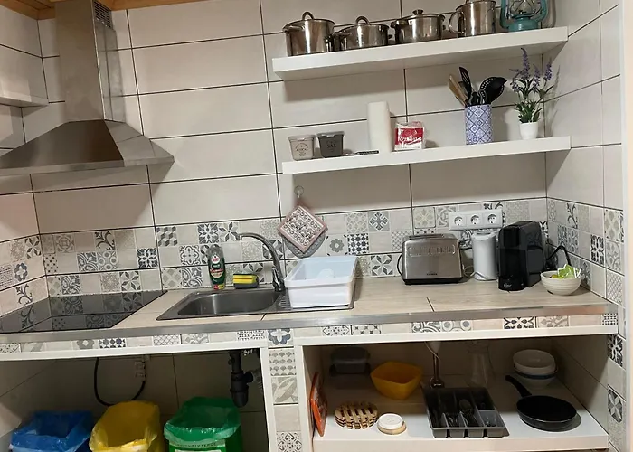 Sunflower - Madalena - Pico * Sao Caetano (Pico)