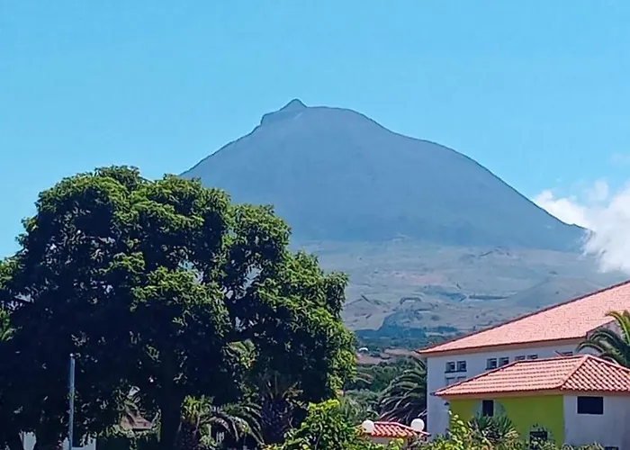Sunflower - Madalena - Pico *
