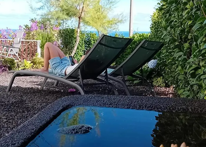 Sunflower - Madalena - Pico