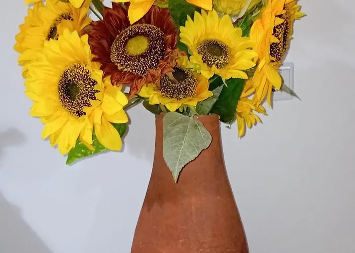 Nyaraló Sunflower - Madalena - Pico Sao Caetano (Pico)