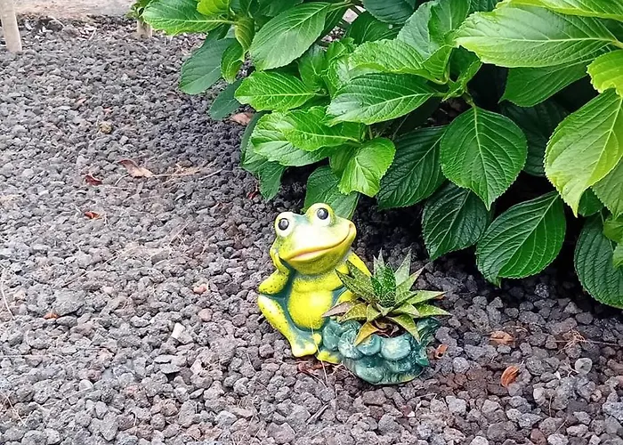 Sunflower - Madalena - Pico Sao Caetano (Pico)