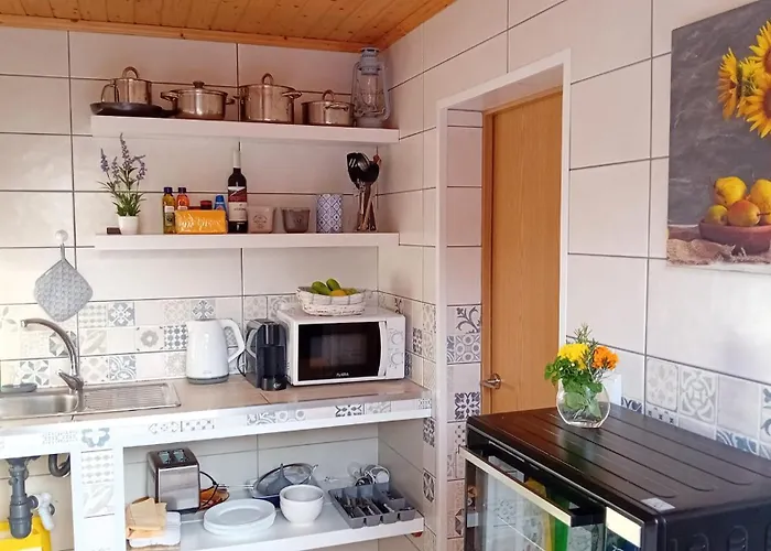 Sunflower - Madalena - Pico * Sao Caetano (Pico)