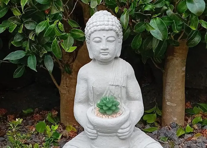 Sunflower - Madalena - Pico Nyaraló *