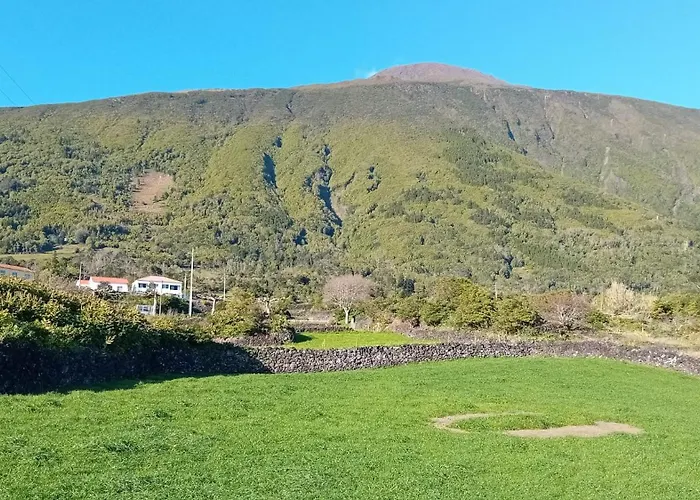 Sunflower - Madalena - Pico *