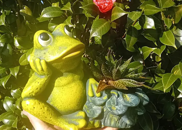 Sunflower - Madalena - Pico Sao Caetano (Pico)