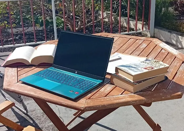 Sunflower - Madalena - Pico