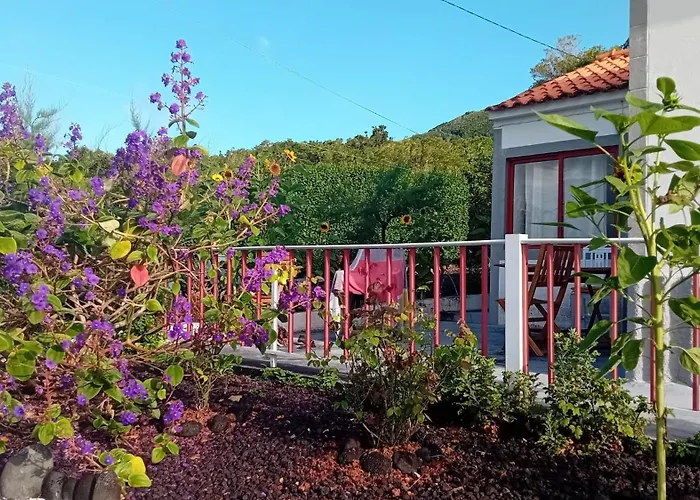 Sunflower - Madalena - Pico Nyaraló *